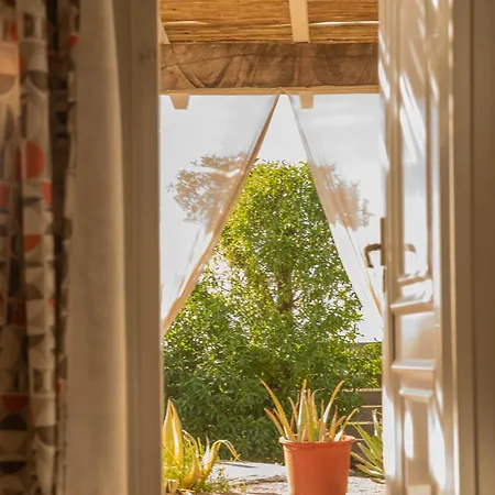 La Cabana A Orillas Del Palmar Cadiz